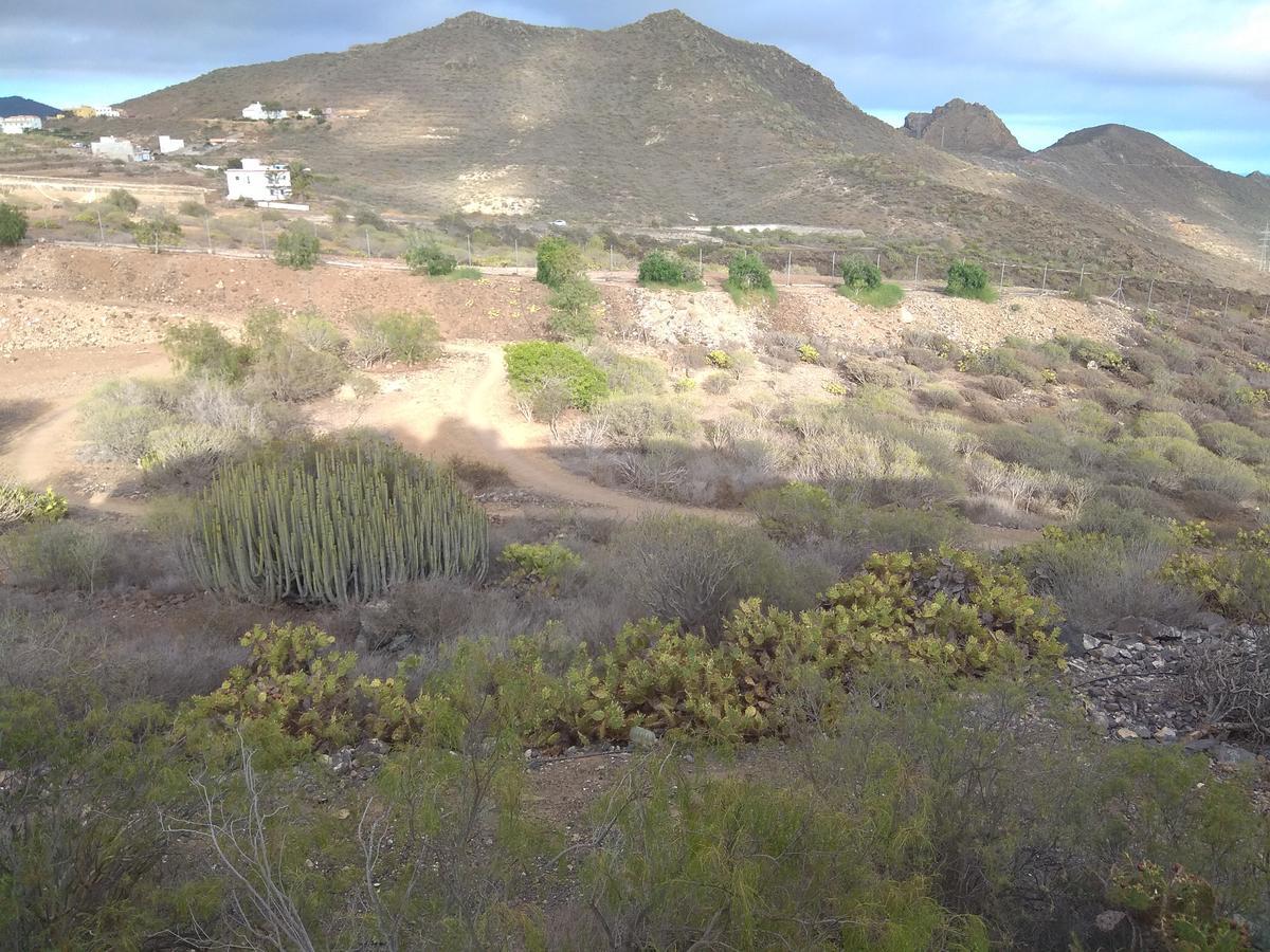 El Cerro De La Luna Arona  Bagian luar foto
